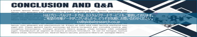 市場調査レポートのイメージ