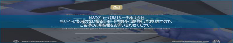 市場調査レポートのイメージ