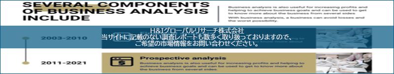 市場調査レポートのイメージ