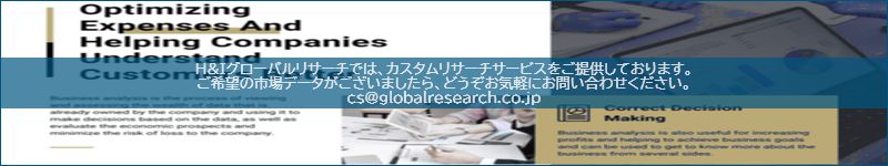 市場調査レポートのイメージ