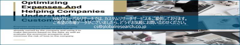 市場調査レポートのイメージ